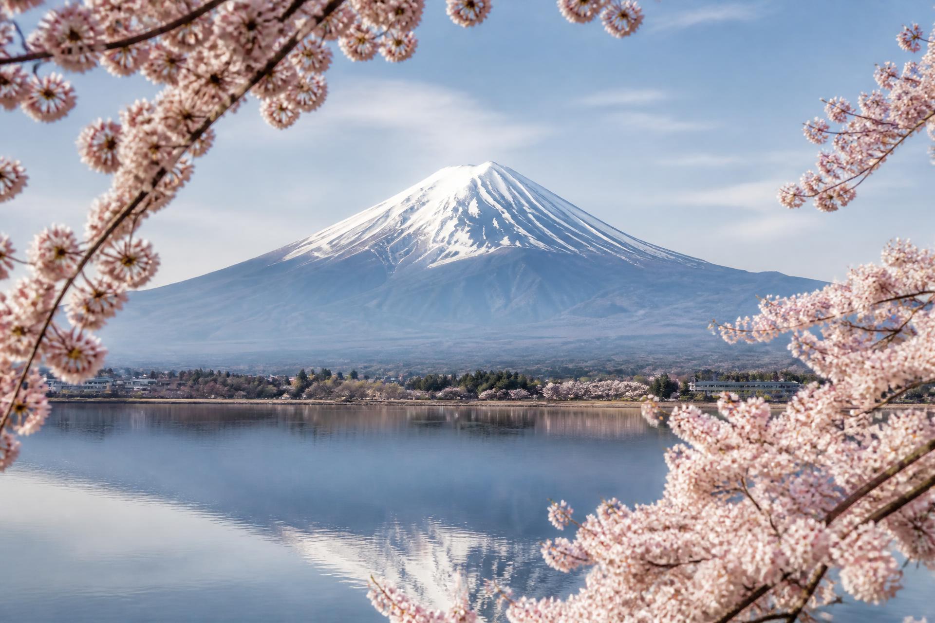 Mount Fuji with cherry blossoms reflected in a calm lake, Japan