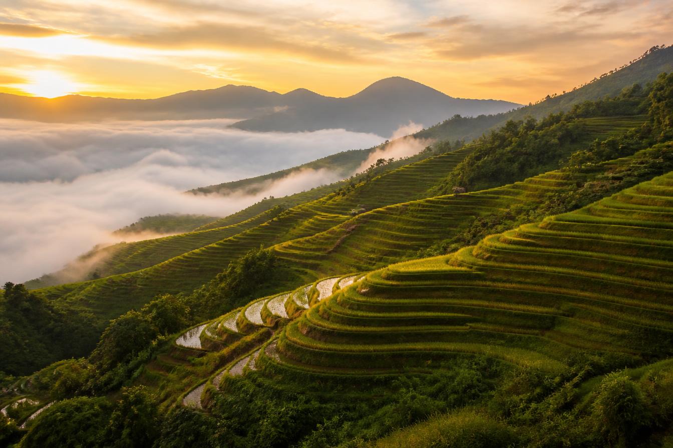 Lush rice terraces cascading through misty mountains at sunrise in Sapa, Vietnam